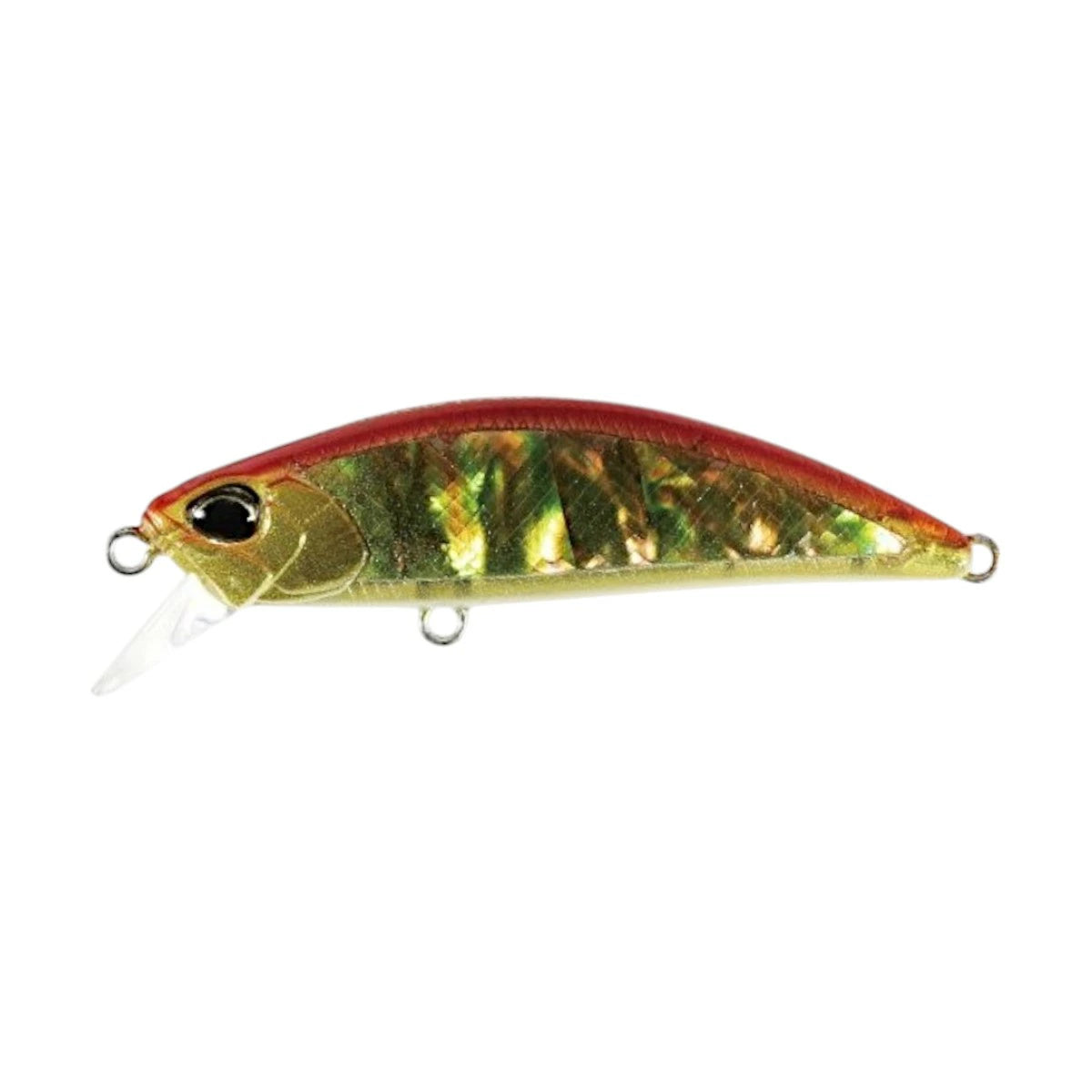【DUO】 デュオ SPEARHEAD RYUKI AWABI 60S スピアヘッド・リュウキ アワビ 60S 2025限定 duo-shr60s-5