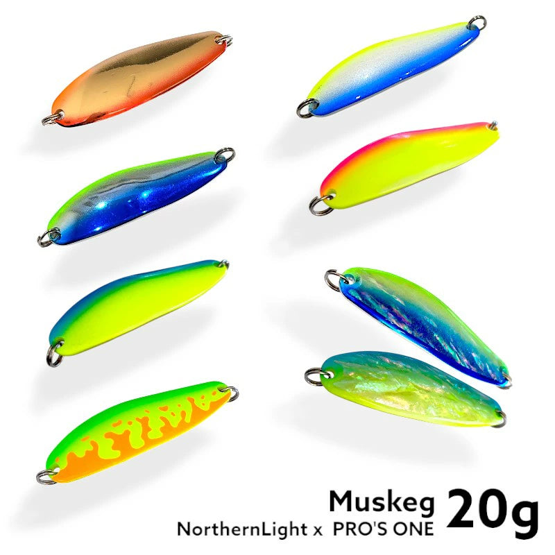 NORTHERN LIGHTS】 プロズワン監修 ノーザンライツ マスケグ 20g