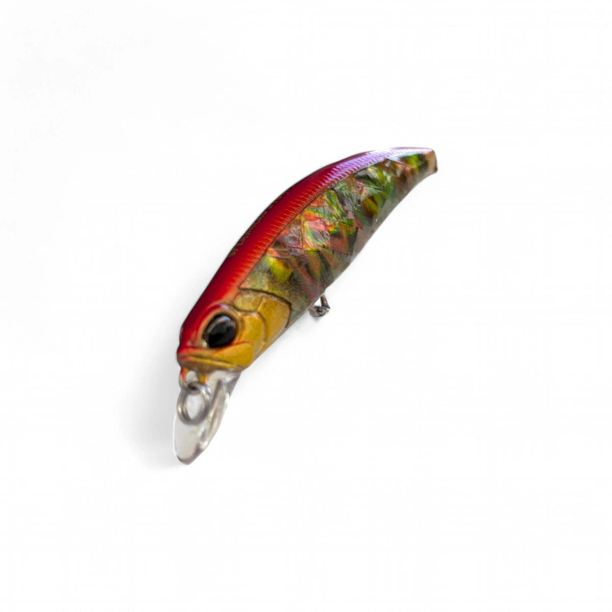 【DUO】 デュオ SPEARHEAD RYUKI AWABI 60S スピアヘッド・リュウキ アワビ 60S 2025限定 duo-shr60s-5