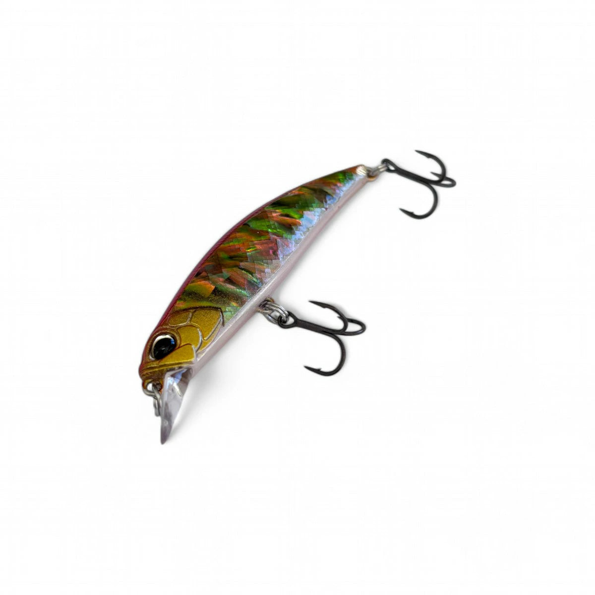 【DUO】 デュオ SPEARHEAD RYUKI AWABI 60S スピアヘッド・リュウキ アワビ 60S 2025限定 duo-shr60s-5