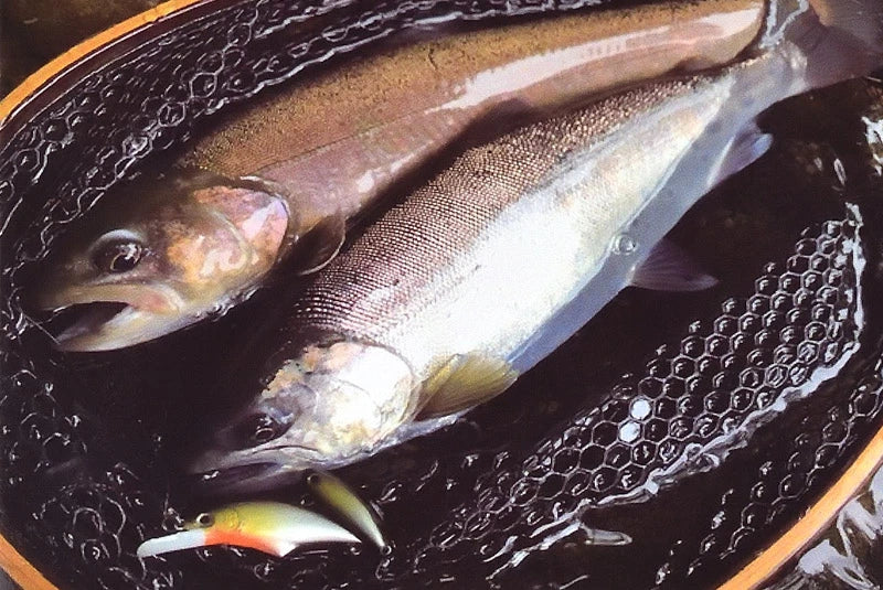 パームス Alexandra アレキサンドラ・シェード AXS-50S 50mm 6.6g ルアー シンキング　axs-50s