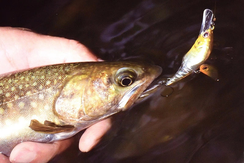 パームス Alexandra アレキサンドラ・シェード AXS-50S 50mm 6.6g ルアー シンキング　axs-50s