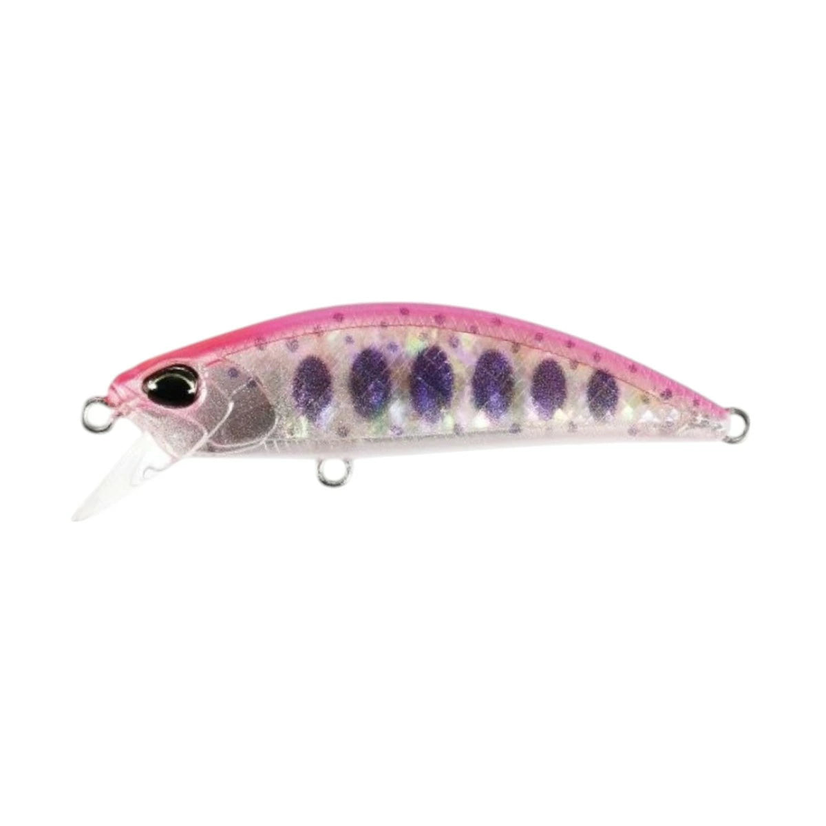 【DUO】 デュオ SPEARHEAD RYUKI AWABI 60S スピアヘッド・リュウキ アワビ 60S 2025限定 duo-shr60s-5