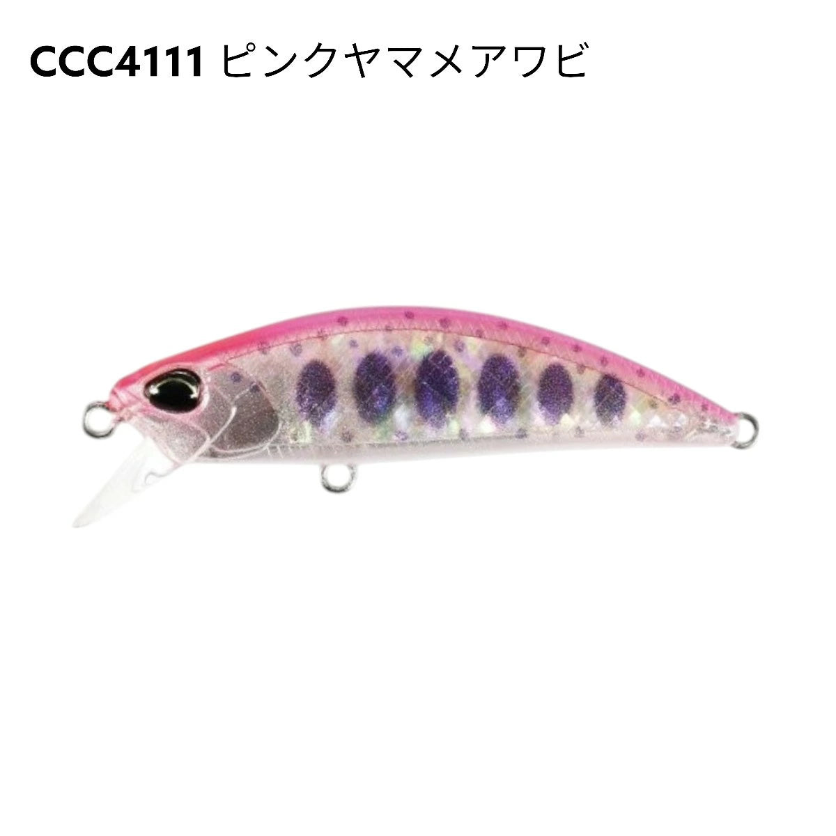 【DUO】 デュオ SPEARHEAD RYUKI AWABI 60S スピアヘッド・リュウキ アワビ 60S 2025限定 duo-shr60s-5