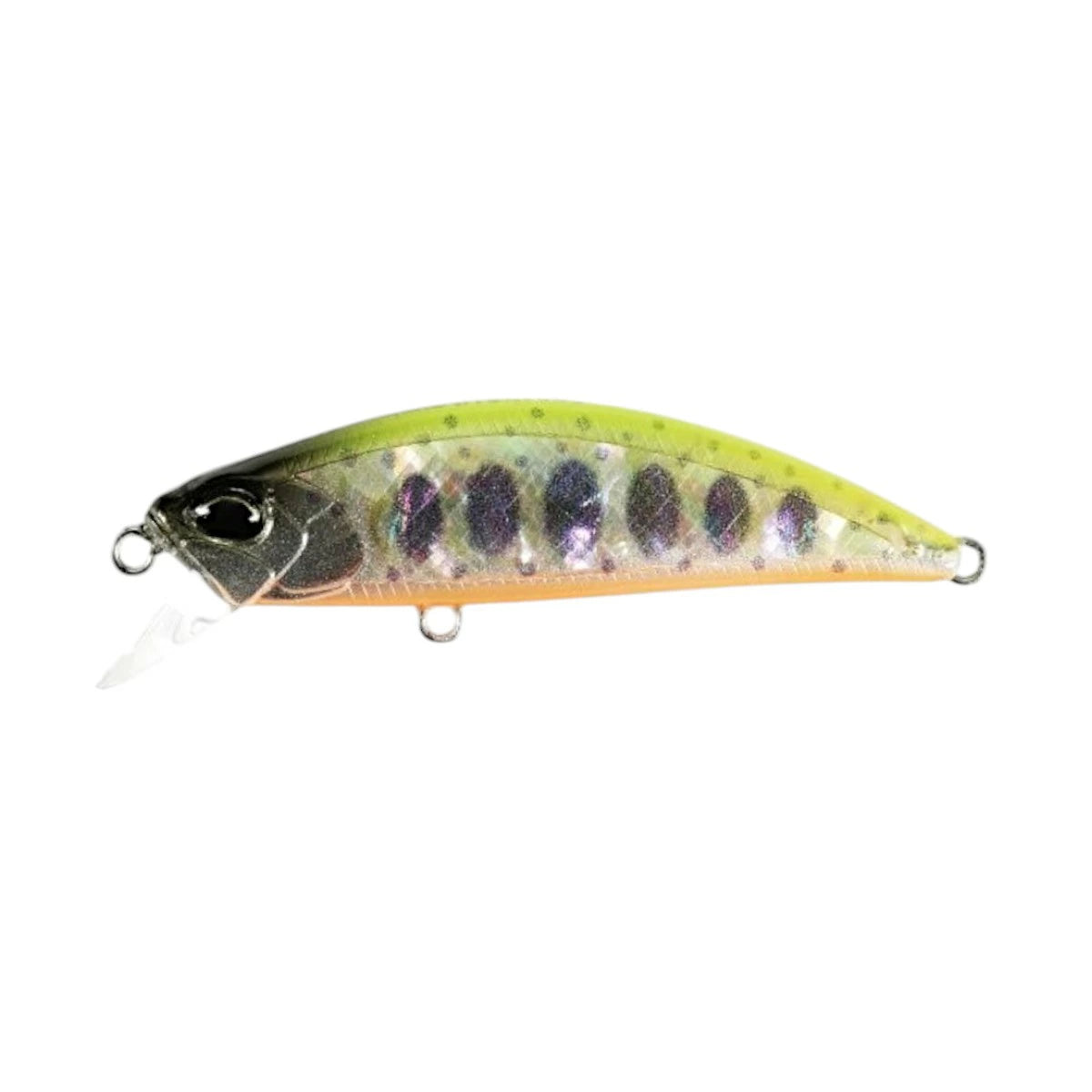 【DUO】 デュオ SPEARHEAD RYUKI AWABI 60S スピアヘッド・リュウキ アワビ 60S 2025限定 duo-shr60s-5