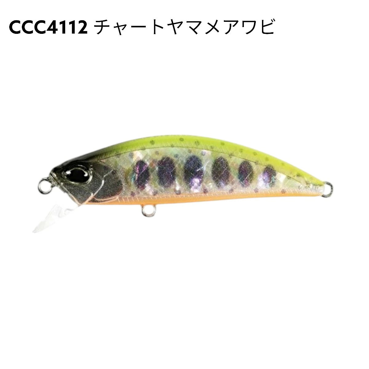 【DUO】 デュオ SPEARHEAD RYUKI AWABI 60S スピアヘッド・リュウキ アワビ 60S 2025限定 duo-shr60s-5