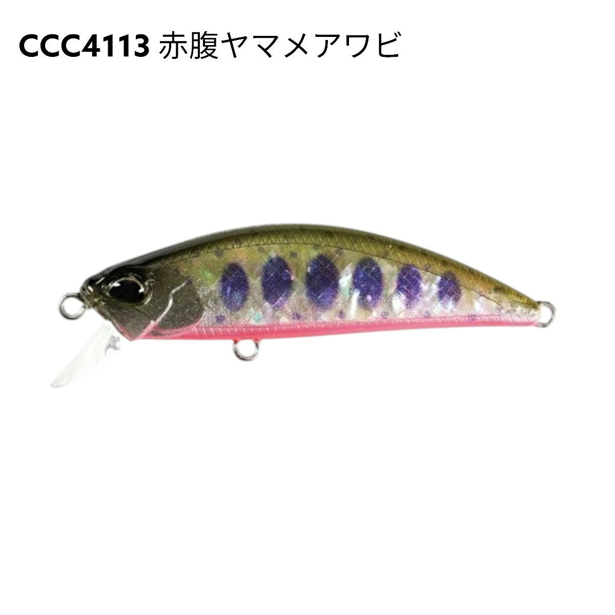 【DUO】 デュオ SPEARHEAD RYUKI AWABI 60S スピアヘッド・リュウキ アワビ 60S 2025限定 duo-shr60s-5