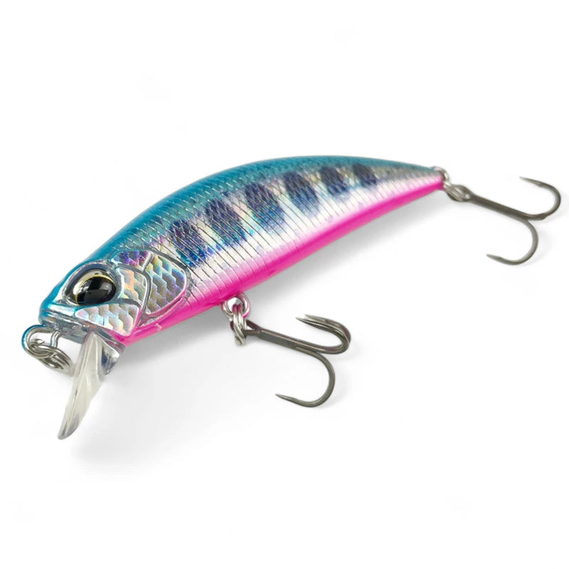 デュオ SPEARHEAD RYUKI 50S 45S スピアヘッド・リュウキ IB-2401 IB-2402 アイビック 限定 カラー duo-50s45s-ib