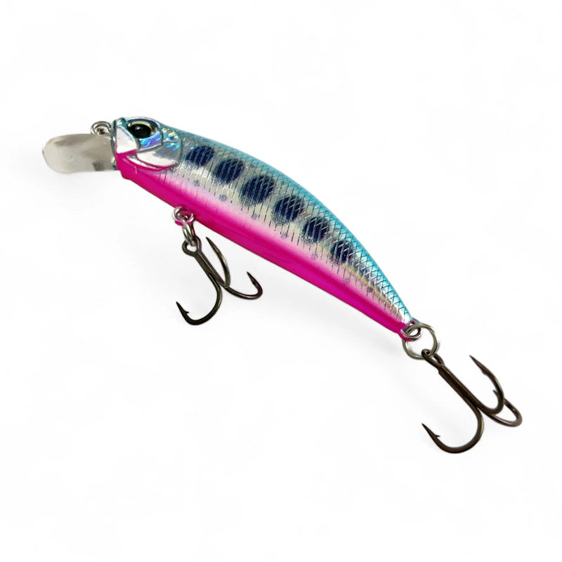 デュオ SPEARHEAD RYUKI 50S 45S スピアヘッド・リュウキ IB-2401 IB-2402 アイビック 限定 カラー duo-50s45s-ib