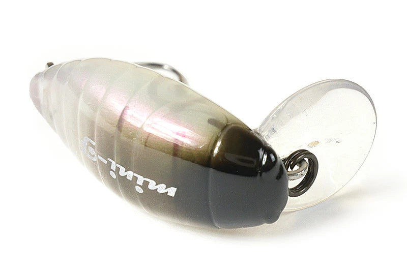 TACKLEHOUSE タックルハウス elfin ミニシケイダー F