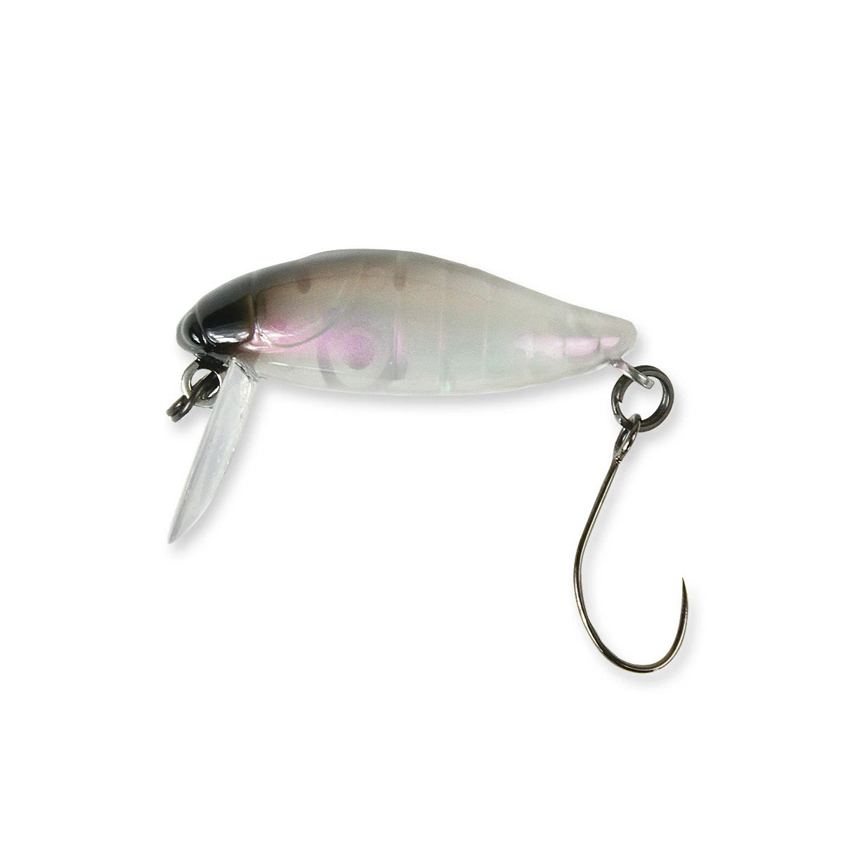 TACKLEHOUSE タックルハウス elfin ミニシケイダー F