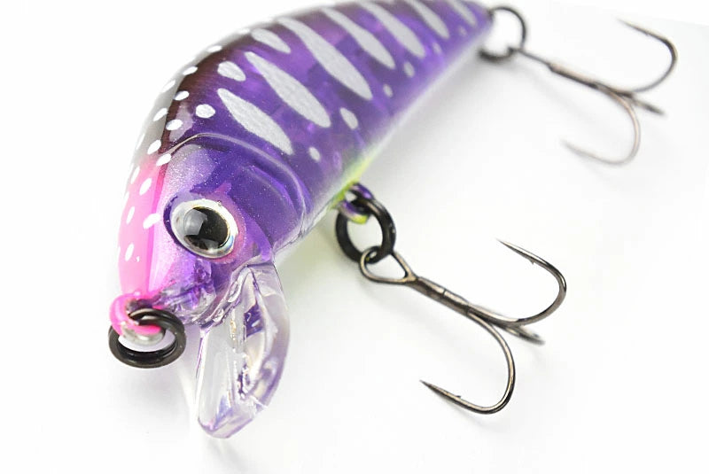 【FOREST】 フォレスト iFish FT 5S 5g アイフィッシュ フィールドチューン EXカラー ルアー