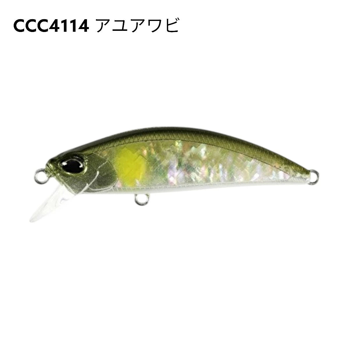 【DUO】 デュオ SPEARHEAD RYUKI AWABI 60S スピアヘッド・リュウキ アワビ 60S 2025限定 duo-shr60s-5