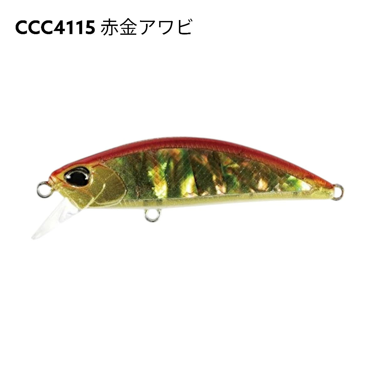 【DUO】 デュオ SPEARHEAD RYUKI AWABI 60S スピアヘッド・リュウキ アワビ 60S 2025限定 duo-shr60s-5