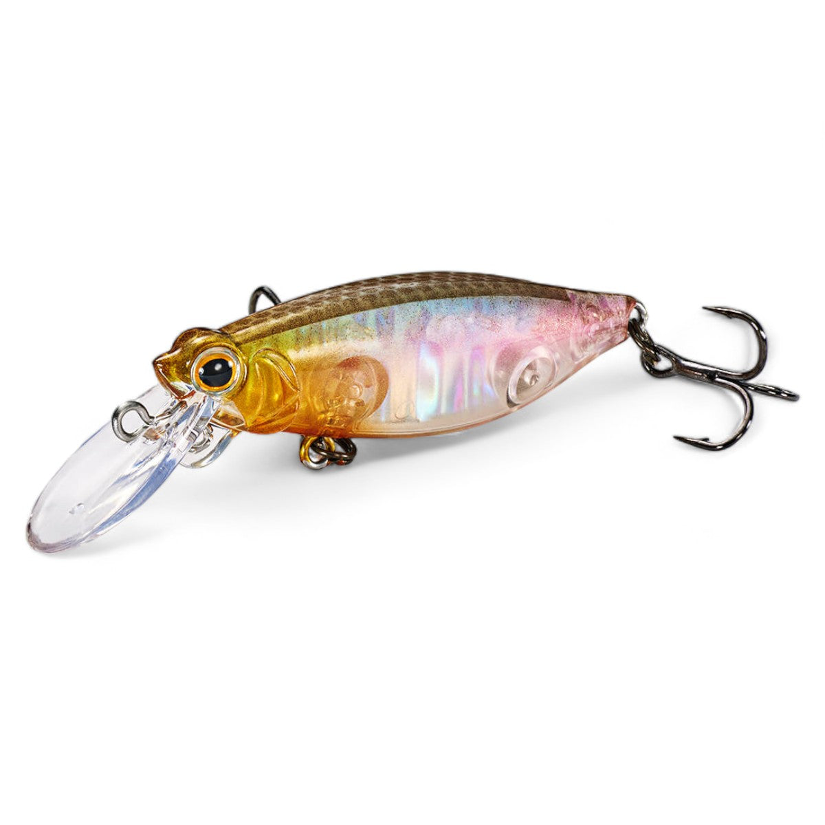 ジャクソン Resist レジスト 45ｍｍ フローティング トラウト ネイティブルアー プラグ