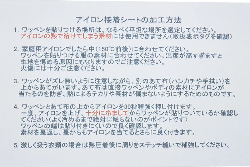 ノーザンライツ ロゴ入り ロングワッペン