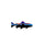 STK10: Fitz Roy Trout Sticker