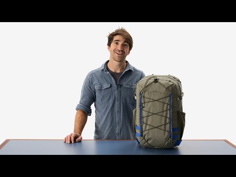 Patagonia パタゴニア 89169 ステルス バックパック 25L M 国内正規品