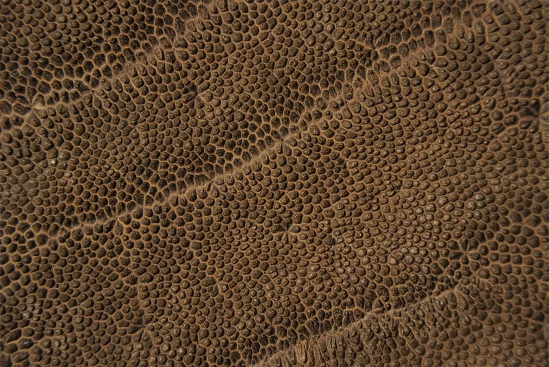 サムライクラフト ラウンドファスナー タイプ3-R エレファントレザー ウォレットチェーン対応