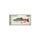 PINK SALMON