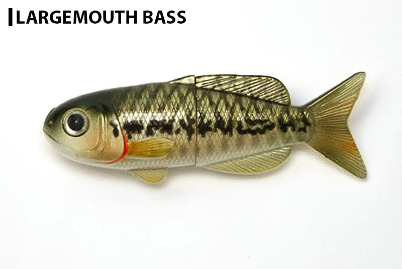 Stream Trail ストリームトレイル FiiiiiSH FISH MAGNET フィッシュマグネット