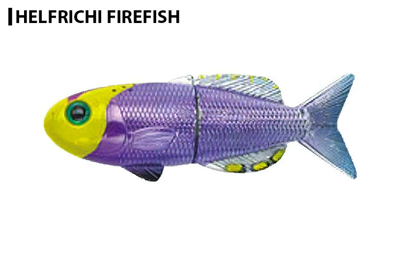 Stream Trail ストリームトレイル FiiiiiSH FISH MAGNET フィッシュマグネット