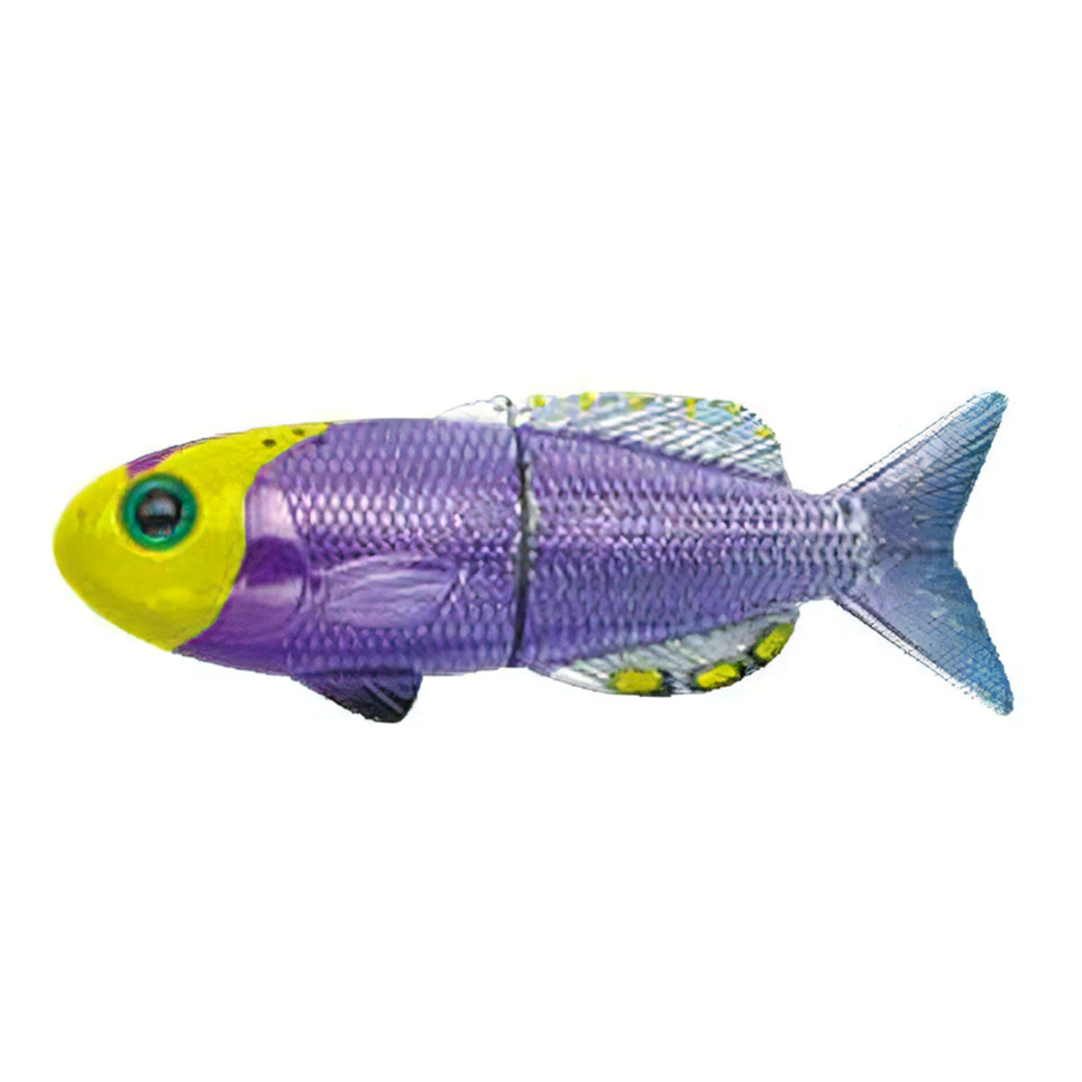 Stream Trail ストリームトレイル FiiiiiSH FISH MAGNET フィッシュマグネット