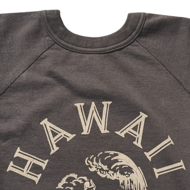WAREHOUSE ウエアハウス Lot.4104  2ND HAND 半袖SW HAWAII