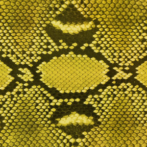 Diamond Python (Yellow)
