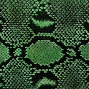 Diamond Python (Green)